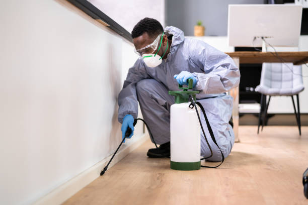 Best Fumigation Services  in Albion, IN